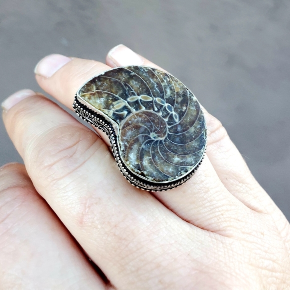 New Fossil Ammonite Silver Statement Ring. - Picture 2 of 16